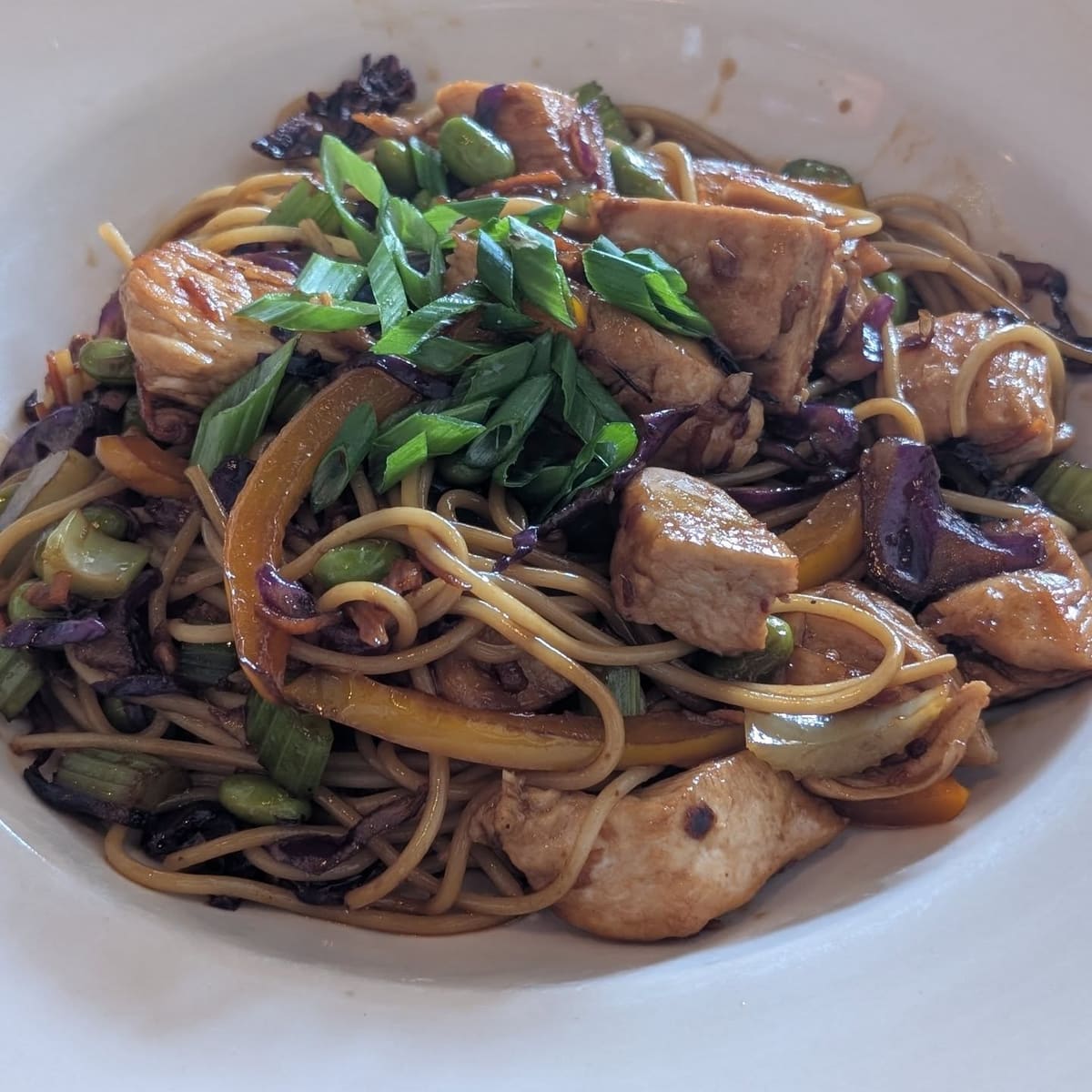 Chicken chow mein with scallions and vegetables
